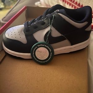 Nike Dunk Low (TDE)